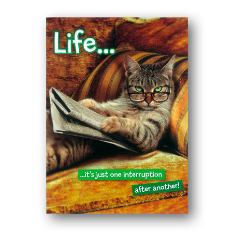 Avanti - Kitten Yoga Just Funny Card